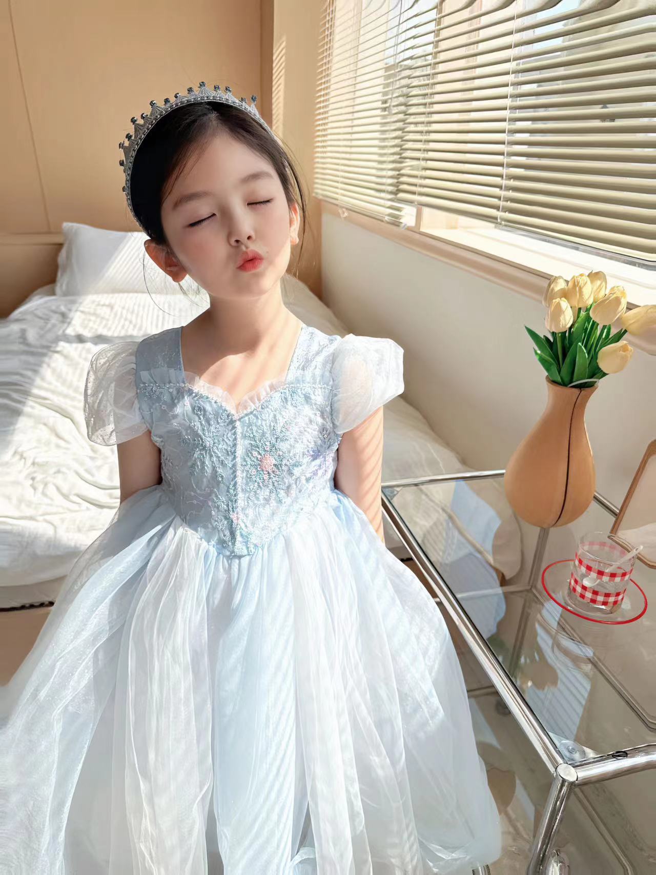 Besticktes Elsa Mädchen Kleid  – Baby Clothing Dresser Bewertung und Preis