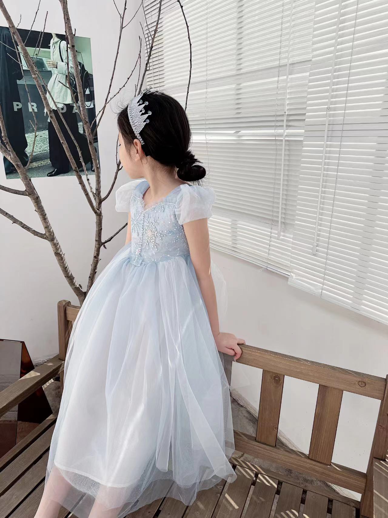 Besticktes Elsa Mädchen Kleid  – Baby Clothing Dresser Bewertung und Preis